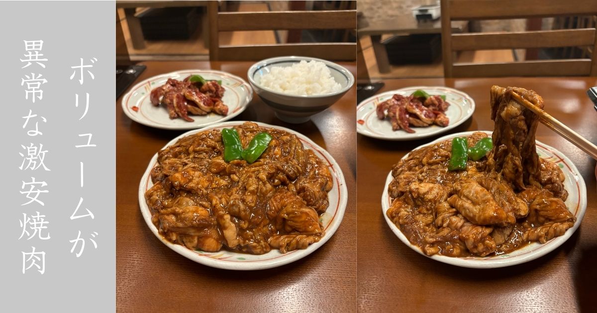 焼肉処デブちゃん（みよし市）　ありえんボリュームに安すぎる値段設定！とんちゃんが一番人気！メニューや駐車場情報まとめ